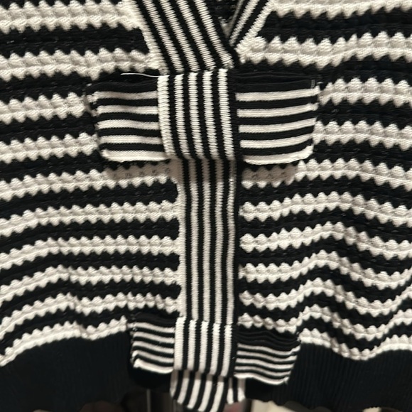 NVLT Black and White V-Neck Sweater with Bold Stripes - Picture 4 of 4